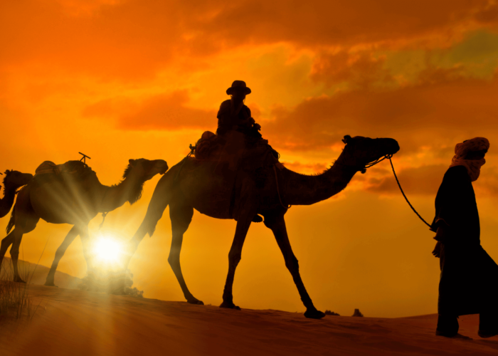 3-day desert tour from Marrakech