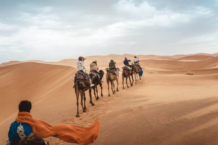 Fes To Marrakech 2-day desert tour